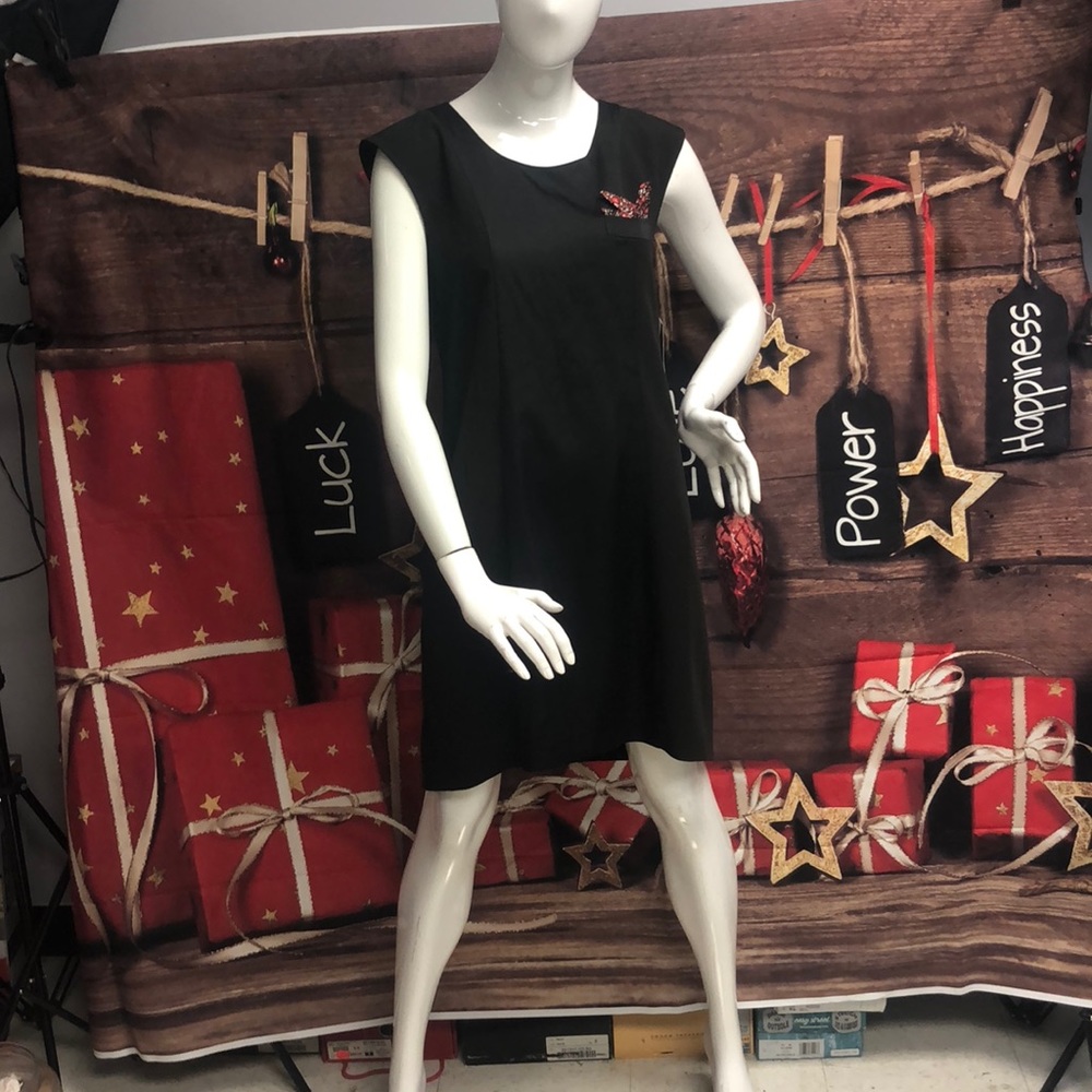 Fashion Star